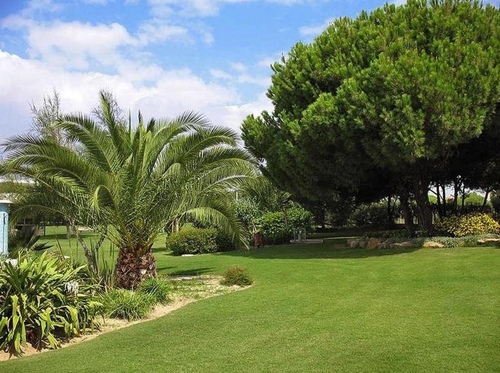 Sunny Apartment Al-Sakia, Quarteira, Vilamoura Rum bild
